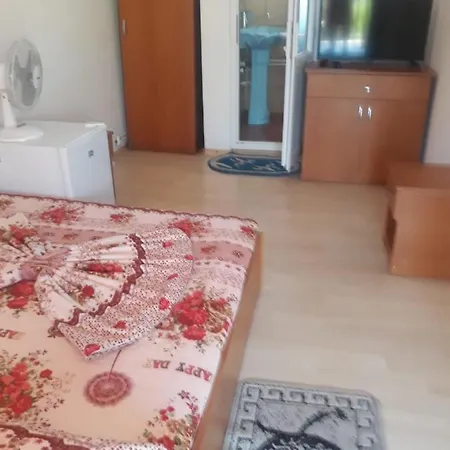 Pensionat Vila Strat